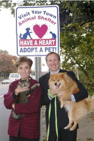 One of our street signs in Suffolk County, NY One of our street signs in Suffolk County, NY