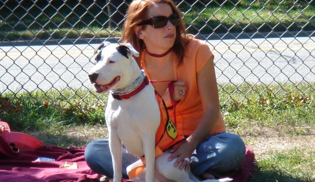 Pit Bulls Need Homes